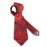 Silk Paisley neck tie C111