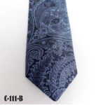Silk Paisley neck tie C111B